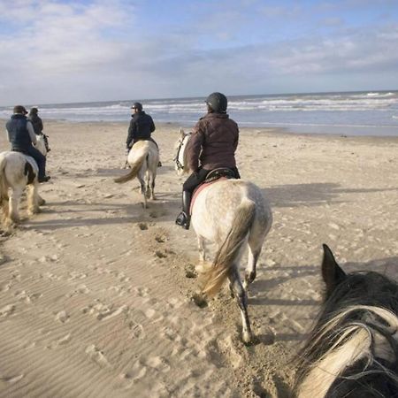 Maison Independante De Vacances Hardelot Plage Neufchâtel-Hardelot Екстериор снимка