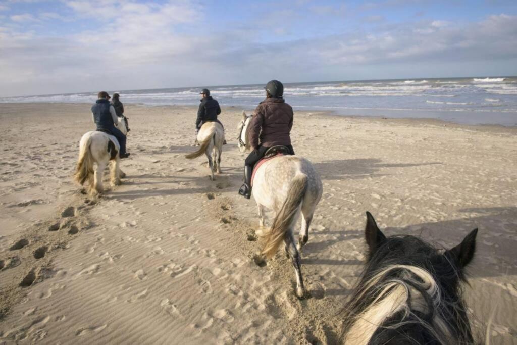 Maison Independante De Vacances Hardelot Plage Neufchâtel-Hardelot Екстериор снимка